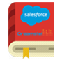 Salesforce Guide