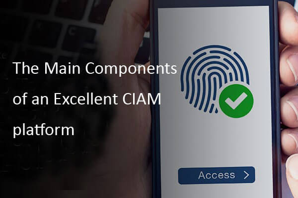 Key Components of a Perfect CIAM Platform