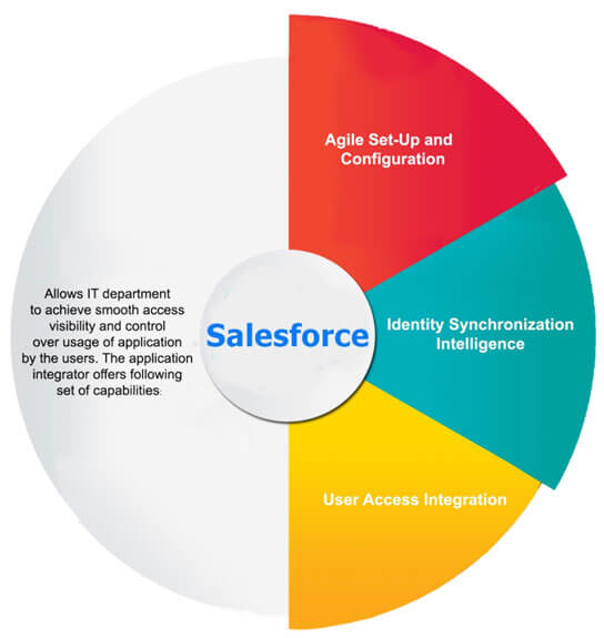 salesforce-allows