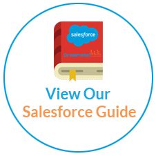 salesforce Guide