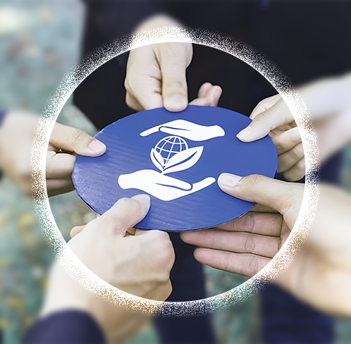 Mission-Driven Impact in the Non-Profit Sector